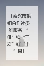 泰兴市供销合作社多维服务 “供”绘“三夏”好“丰”景