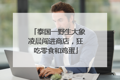 泰国一野生大象凌晨闯进商店，狂吃零食和鸡蛋