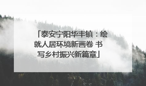 泰安宁阳华丰镇：绘就人居环境新画卷 书写乡村振兴新篇章