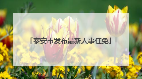 泰安市发布最新人事任免