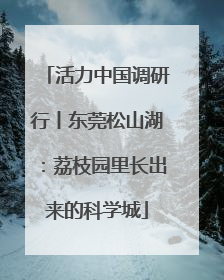 活力中国调研行丨东莞松山湖：荔枝园里长出来的科学城