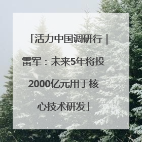 活力中国调研行｜雷军：未来5年将投2000亿元用于核心技术研发