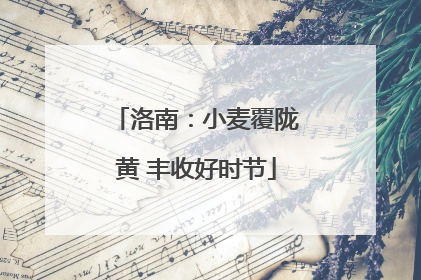 洛南：小麦覆陇黄 丰收好时节