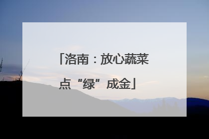 洛南：放心蔬菜点“绿”成金