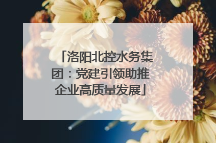 洛阳北控水务集团：党建引领助推企业高质量发展