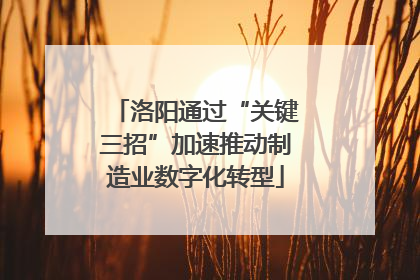 洛阳通过“关键三招”加速推动制造业数字化转型