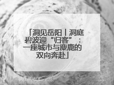洞见岳阳丨洞庭碧波迎“归客”：一座城市与麋鹿的双向奔赴