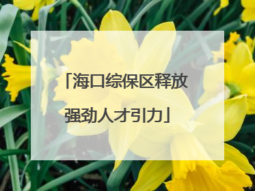 海口综保区释放强劲人才引力