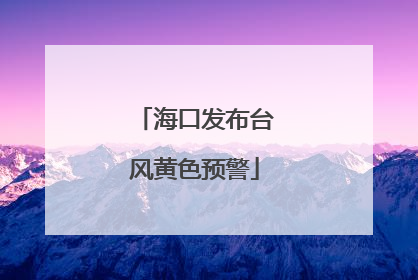 海口发布台风黄色预警