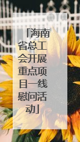 海南省总工会开展重点项目一线慰问活动