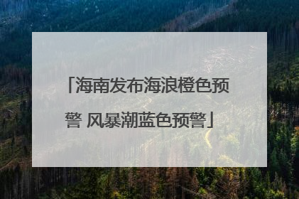 海南发布海浪橙色预警 风暴潮蓝色预警
