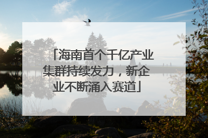 海南首个千亿产业集群持续发力，新企业不断涌入赛道