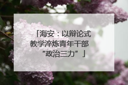 海安：以辩论式教学淬炼青年干部“政治三力”