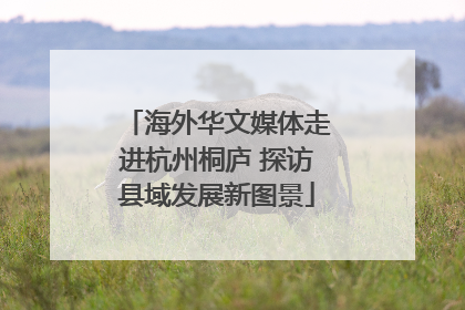 海外华文媒体走进杭州桐庐 探访县域发展新图景