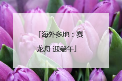 海外多地：赛龙舟 迎端午