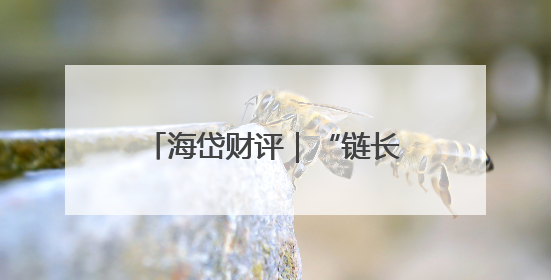 海岱财评｜“链长制” “链”出工业大梁“钢筋铁骨”