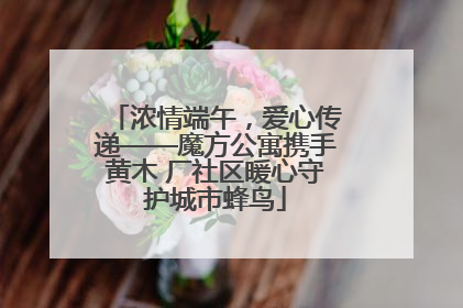 浓情端午，爱心传递——魔方公寓携手黄木 厂社区暖心守护城市蜂鸟