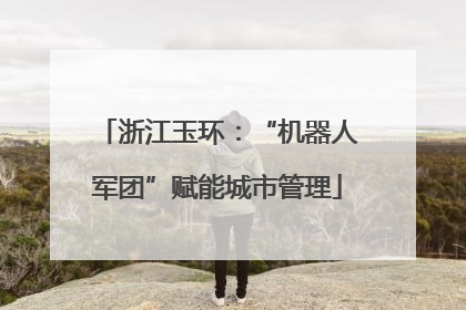 浙江玉环：“机器人军团”赋能城市管理