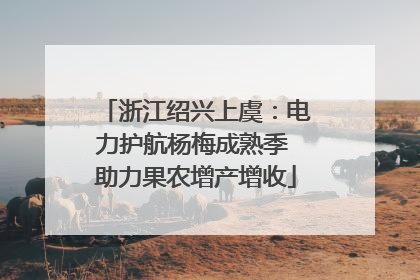 浙江绍兴上虞：电力护航杨梅成熟季 助力果农增产增收