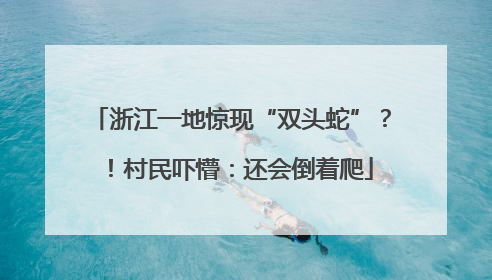 浙江一地惊现“双头蛇”？！村民吓懵：还会倒着爬
