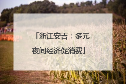 浙江安吉：多元夜间经济促消费