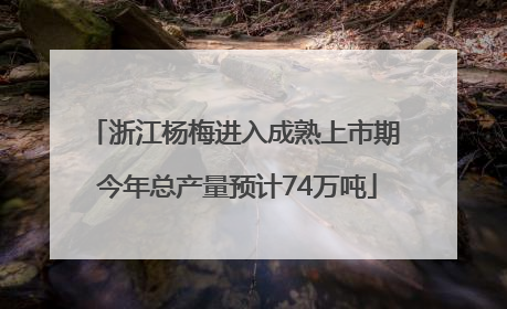浙江杨梅进入成熟上市期 今年总产量预计74万吨