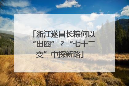 浙江遂昌长粽何以“出圈”？“七十二变”中探新路