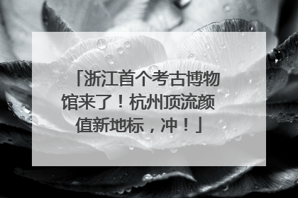 浙江首个考古博物馆来了！杭州顶流颜值新地标，冲！
