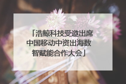 浩鲸科技受邀出席中国移动中资出海数智赋能合作大会