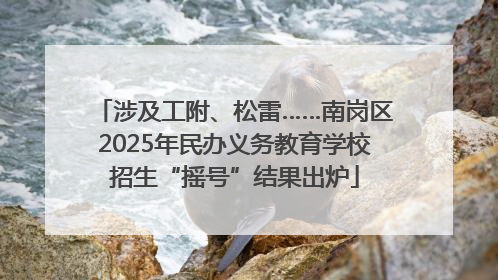 涉及工附、松雷……南岗区2025年民办义务教育学校招生“摇号”结果出炉