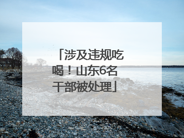 涉及违规吃喝！山东6名干部被处理