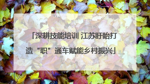 深耕技能培训 江苏盱眙打造“职”通车赋能乡村振兴