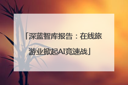 深蓝智库报告：在线旅游业掀起AI竞速战