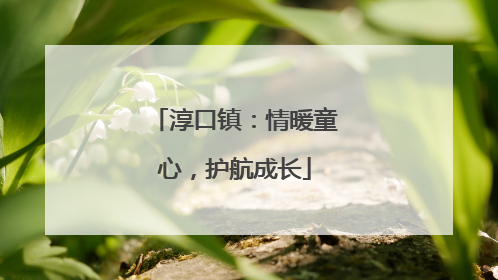 淳口镇：情暖童心，护航成长