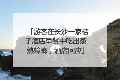 游客在长沙一家桔子酒店早餐中吃出蒸熟蟑螂，酒店回应