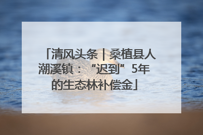 清风头条｜桑植县人潮溪镇：“迟到”5年的生态林补偿金