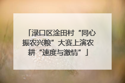 渌口区淦田村“同心振农兴粮”大赛上演农耕“速度与激情”