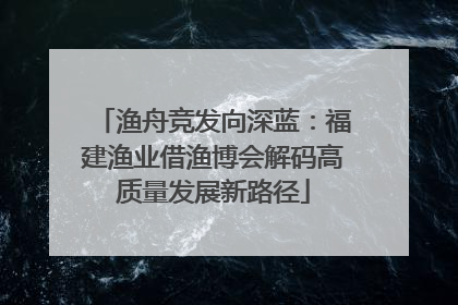 渔舟竞发向深蓝：福建渔业借渔博会解码高质量发展新路径