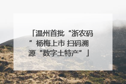 温州首批“浙农码”杨梅上市 扫码溯源“数字土特产”
