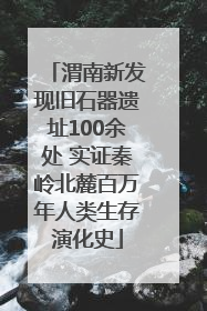渭南新发现旧石器遗址100余处 实证秦岭北麓百万年人类生存演化史
