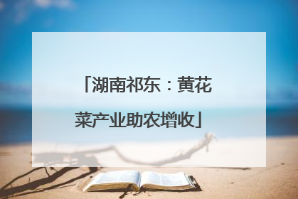 湖南祁东：黄花菜产业助农增收