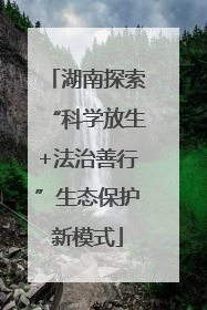 湖南探索“科学放生+法治善行”生态保护新模式