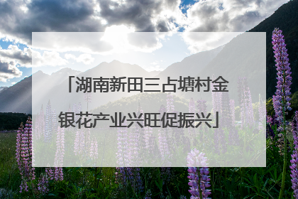 湖南新田三占塘村金银花产业兴旺促振兴