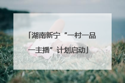 湖南新宁“一村一品一主播”计划启动