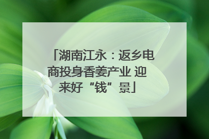 湖南江永：返乡电商投身香姜产业 迎来好“钱”景
