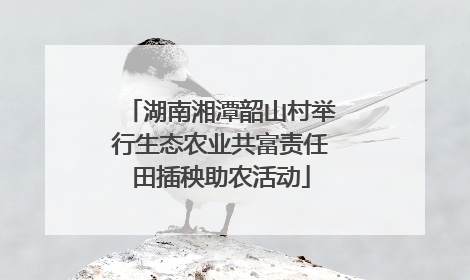 湖南湘潭韶山村举行生态农业共富责任田插秧助农活动
