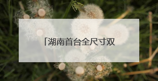 湖南首台全尺寸双足人形机器人“湘江1号”上岗当护工 开福区科技活动周十大科创项目签约
