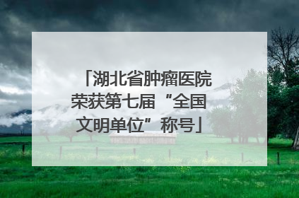 湖北省肿瘤医院荣获第七届“全国文明单位”称号