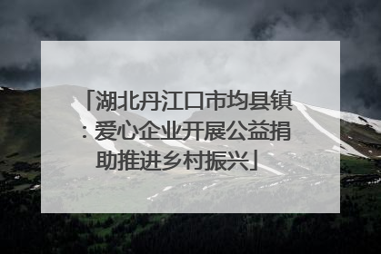 湖北丹江口市均县镇：爱心企业开展公益捐助推进乡村振兴