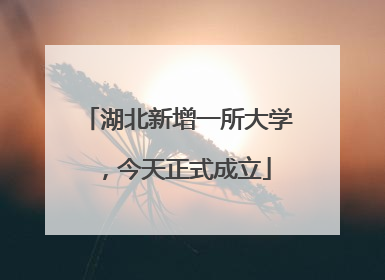 湖北新增一所大学，今天正式成立
